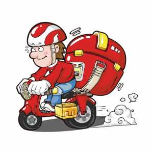 Customize Different Fee DHL /Fedex Shipping Cost Extra Fee Shipment