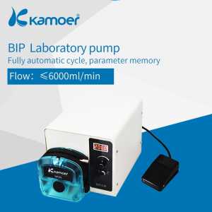Kamoer 6L High Flow Intelligent BIP Lab Pump LED 4-bit digital tube Peristaltic Pump with Pump Head