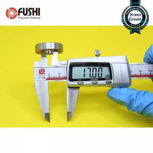Hybrid Ceramic Bearing