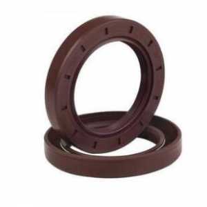 TC Type Oil Seal Gasket 100*125*13 mm 1PC Bearing Accessories FKM Skeleton Oil Seals