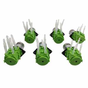 peristaltic pump double head  dosing pump micro-circulating pump 12V/24V pump mute small water pump, self-priming hose pump