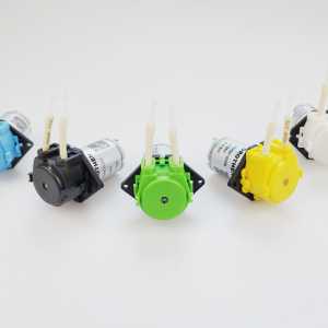 24V DC DIY Colour Dosing Pump Peristaltic Dosing Head For Aquarium Lab Analytical Water with Pharmed BPT 2*4 tube and connectors